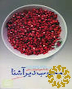 محبوب دیر آشنا