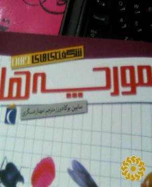 شگفتی‌های جهان: مورچه‌ها