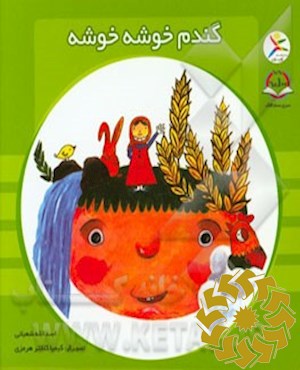 گندم خوشه خوشه