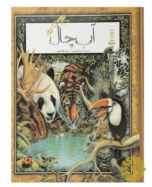 آب چال
