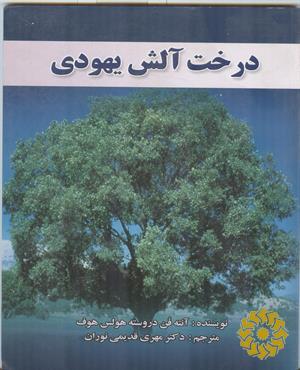 درخت آلش یهودی