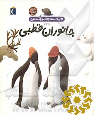 جانوران قطبی‮‬