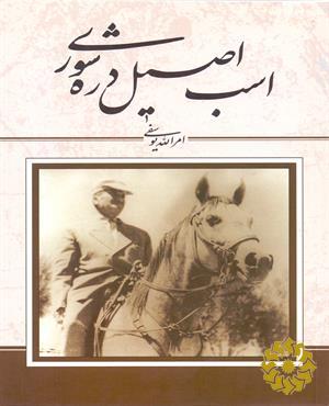 اسب اصیل دره‌شوری