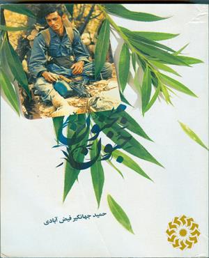 جنون مجنون