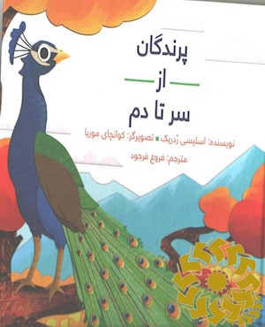 پرندگان از سر تا دم