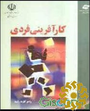  کارآفرینی فردی