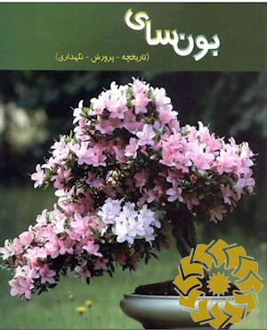 بونسای