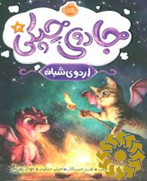 اردوی شبانه