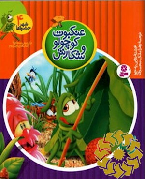 عنکبوت کوچولو و شکارش