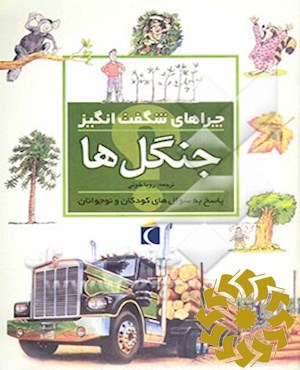 جنگل ها