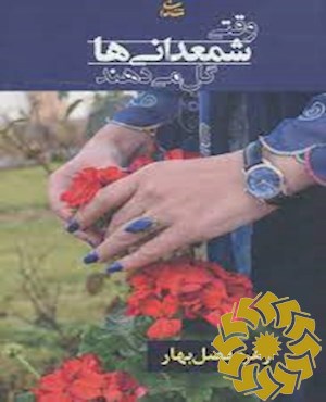 وقتی شمعدانی ها گل می دهند