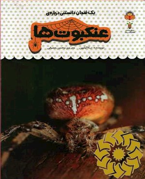 یک فنجان دانستنی درباره ی عنکبوت ها