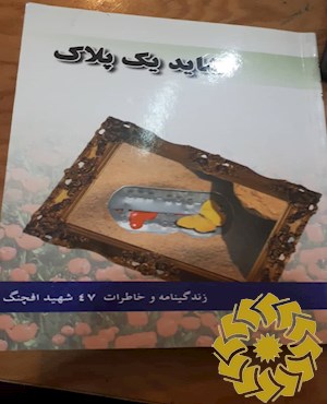 شاید یک پلاک