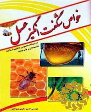 خواص شگفت انگیز عسل