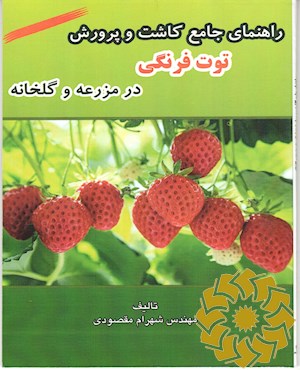راهنمای جامع کاشت و پرورش توت فرنگی در مزرعه و گلخانه
