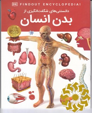 دانستنی های شگفت انگیزی از بدن انسان