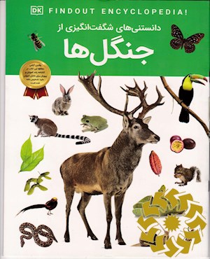جنگل ها