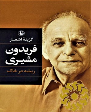 ریشه در خاک