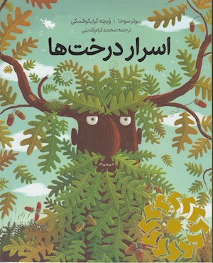 اسرار درخت ها