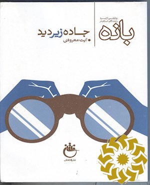 جاده زیر دید