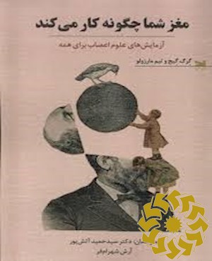 مغز شما چگونه کار می کند