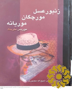 زنبور عسل٬ مورچگان و موریانه