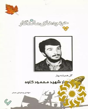 محمود کاوه