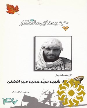 سید حمید میرافضلی