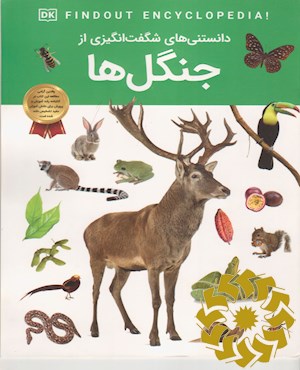 دانستنی های شگفت انگیزی از جنگل ها