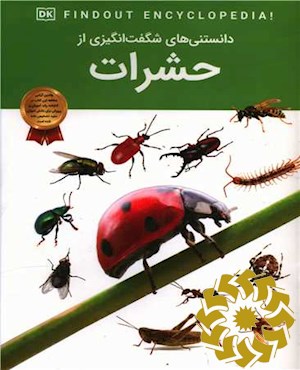 دانستنی های شگفت انگیزی از حشرات