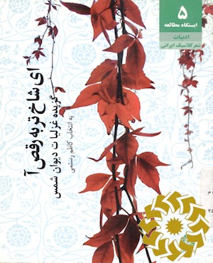 ای شاخ تر به رقص آ