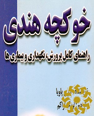 خوکچه هندی: راهنمای کامل پرورش، نگهداری و بیماریها
