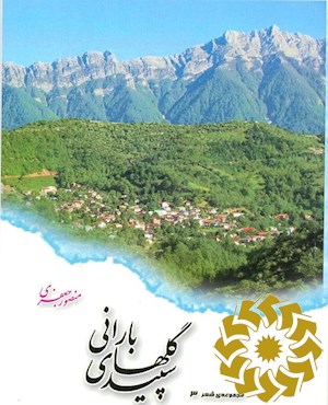 سپید گل های بارانی