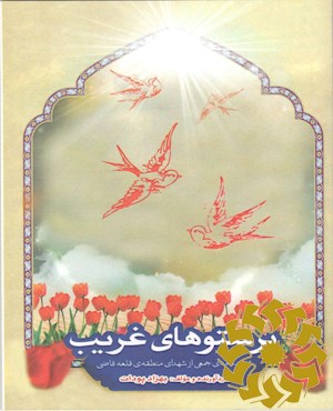 پرستوهای غریب