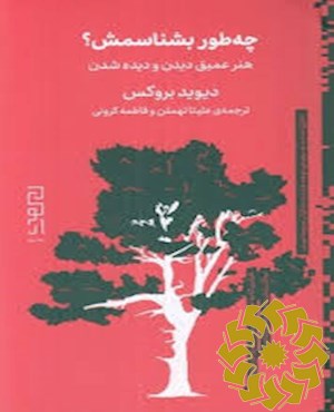 چطور بشناسمش؟ هنر عمیق دیدن و دیده شدن