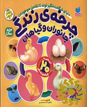 چرخه ی زندگی جانوران و گیاهان