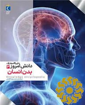 بدن انسان