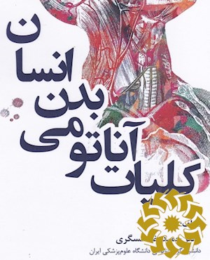 کلیات آناتومی بدن انسان