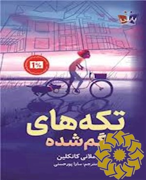 تکه های گمشده