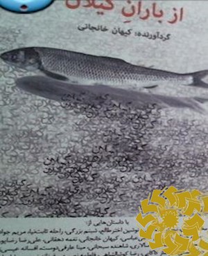 از باران گیلان