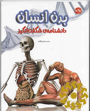 دانشنامه ی شگفت انگیز بدن انسان