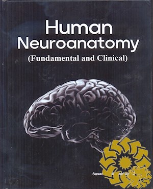 Human neuroanatomy (fundamental &amp; clinical)